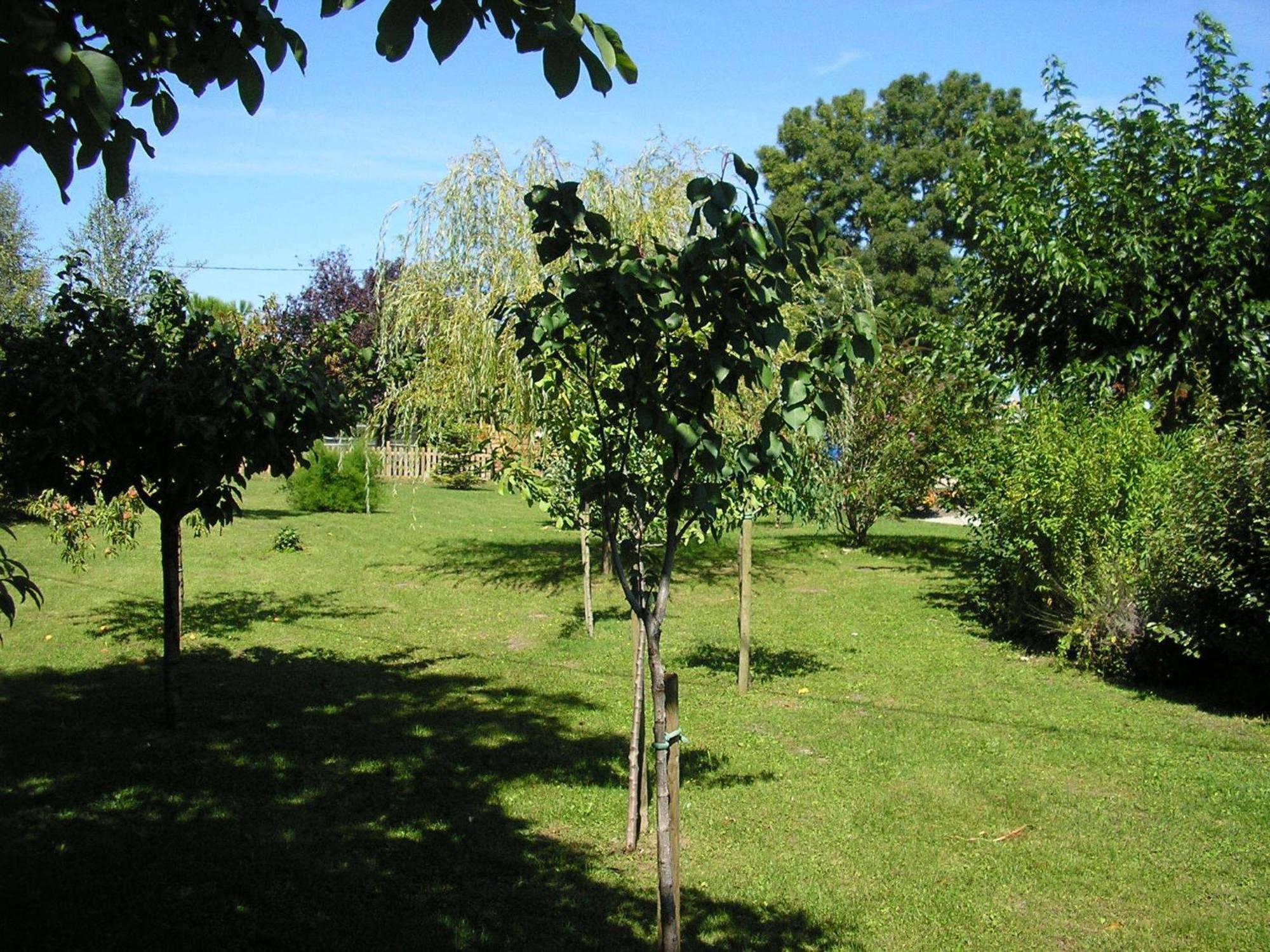 Logis De Chalons A La Mer Le Guâ Δωμάτιο φωτογραφία